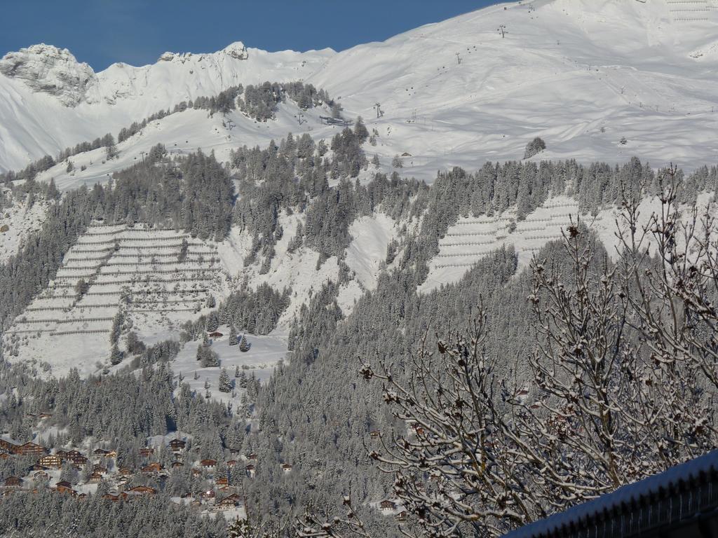 Chalet Des Alpes Acomodação com café da manhã Crans-Montana Exterior foto